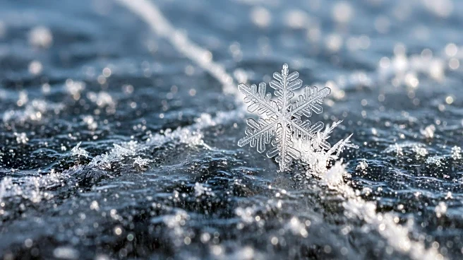 Satellite Data Misinterpretation Reveals True Arctic Snow Loss