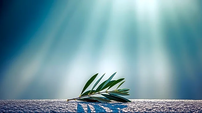 ICAR Addresses Mental Health Crisis in Israel Post-Conflict