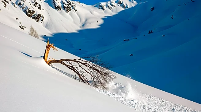Deadly Avalanche Near Lake Tahoe Claims Eight Lives, One Missing