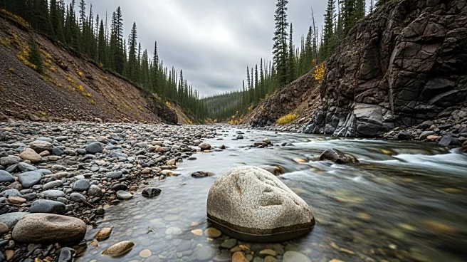 DOJ Supports EPA's Pebble Mine Veto, Northern Dynasty Shares Plummet