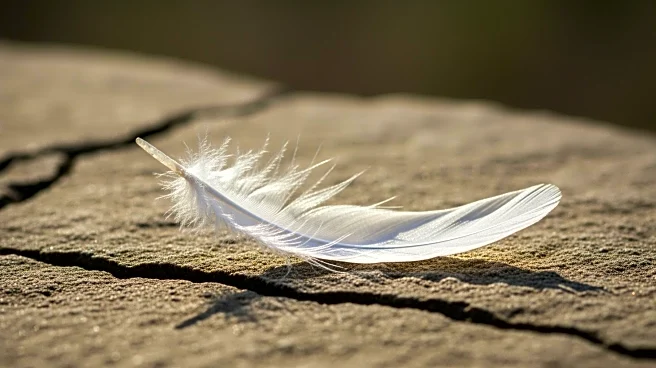 IDF Women Face Unique PTSD Challenges, Call for Tailored Support Systems