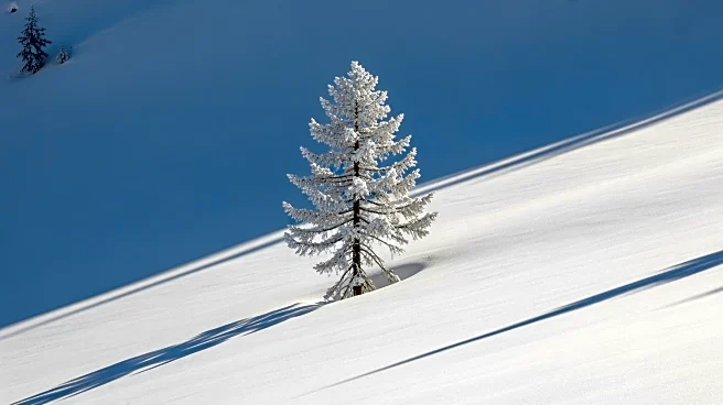 California Avalanche Claims Eight Lives, One Missing in Sierra Nevada