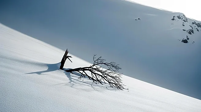Avalanche Near Lake Tahoe Results in Eight Fatalities and One Missing
