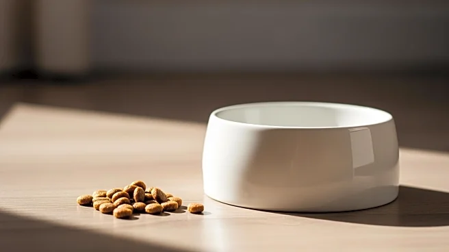 Cat Food Recall Issued in 10 States Due to Thiamine Deficiency Risk