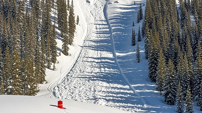 Avalanche in California's Sierra Nevada Claims Eight Lives, Raises Safety Concerns
