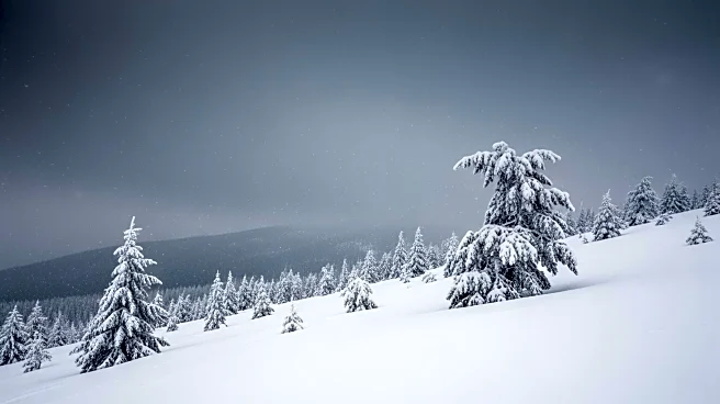 Winter Storm Warning: Hazardous Snow Conditions Expected in Reno-Carson City-Minden