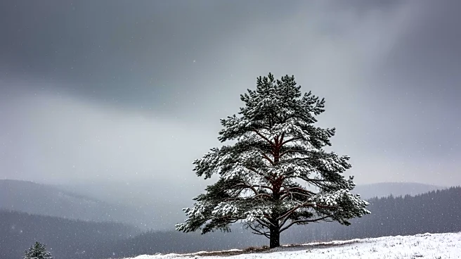 N.J. Weather Forecast Predicts Potential Snowstorm with Uncertain Impact
