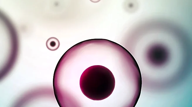 Scientists Identify Biological Process to Shut Down Inflammation