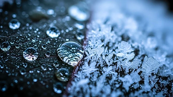 Tri-State Area Braces for Rain and Icy Mix as Weather Conditions Shift