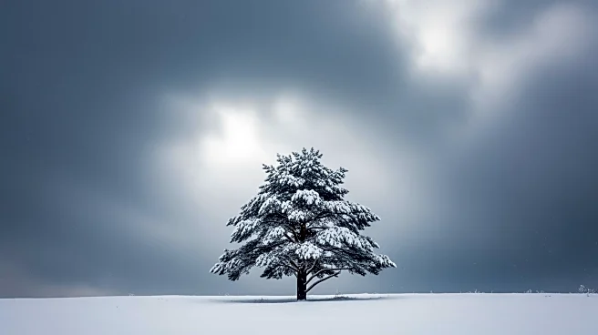 Potential Snowstorm to Impact Northeast U.S. with Uncertain Outcomes