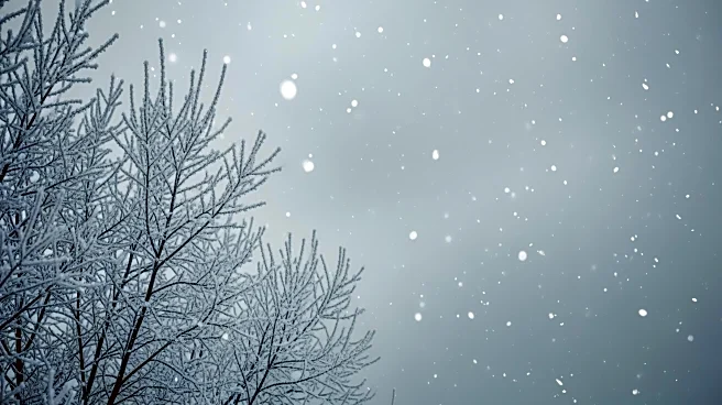 National Weather Service Issues Winter Weather Advisory for Massachusetts Amid Incoming Storm