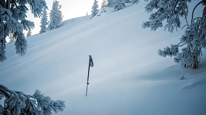 Avalanche Near Lake Tahoe Claims Lives of Six Mothers on Ski Trip