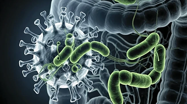 Researchers Identify New Virus Linked to Colorectal Cancer in Gut Bacteria