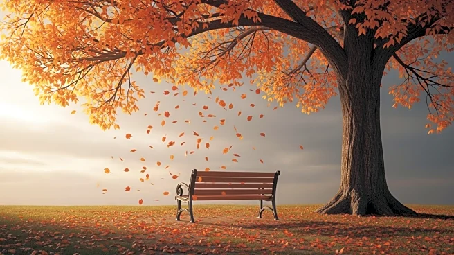 Columbia College Chicago Students Experience Mood Shifts with Seasonal Changes