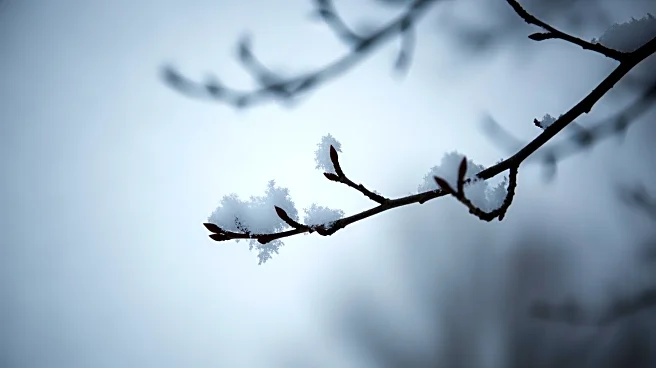 D.C. Area Braces for Potential Snowstorm with Uncertain Impact