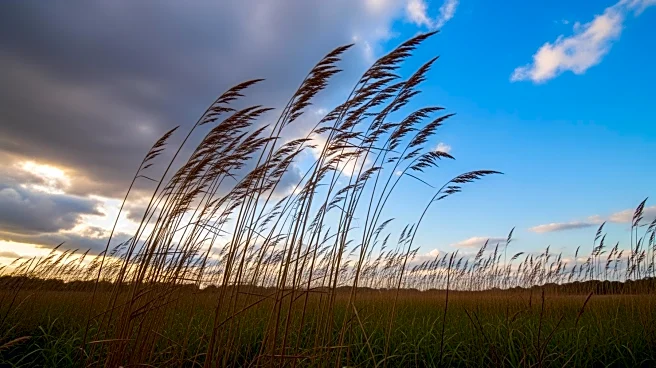 Gusty Winds Expected to Clear Skies in Maryland