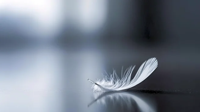 Paulding County High School Student Dies from Rare Flu Complication