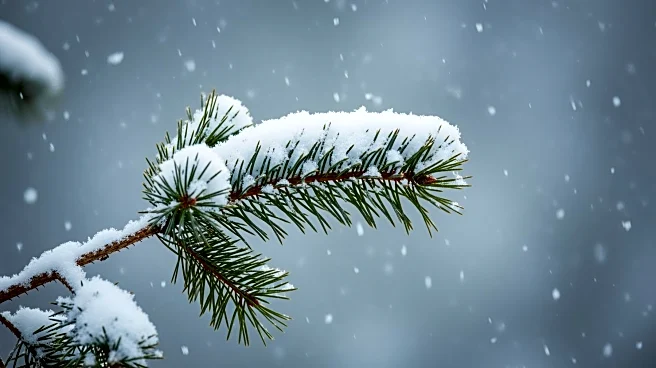 Nor'easter to Bring Up to 18 Inches of Snow to New York City Region