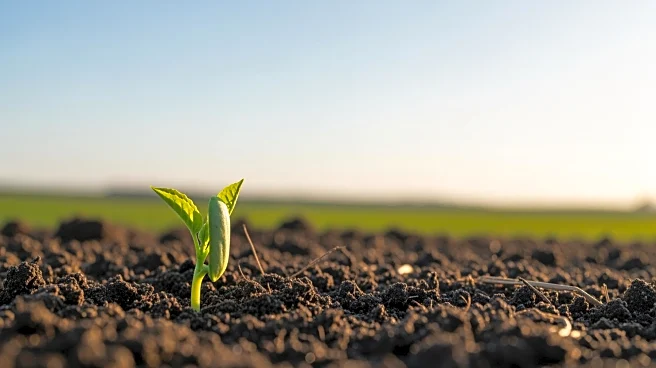 World Bank to Approve $500 Million Agriculture Loan for Nigeria by March 2026
