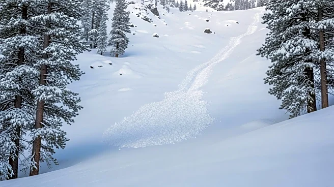 All Bodies Recovered in Deadly Sierra Nevada Avalanche