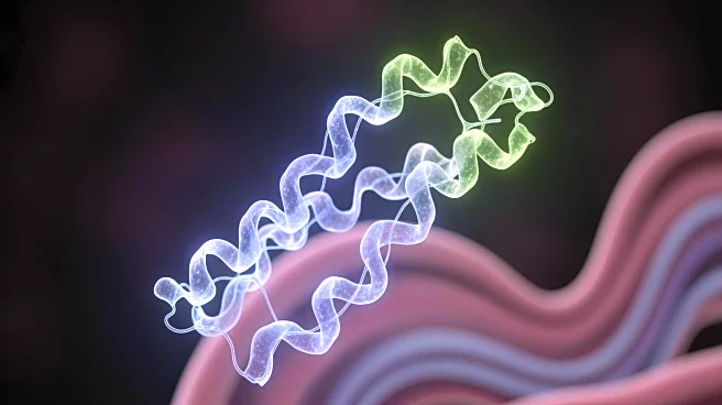 Research Reveals Hidden Role of Proteins in Hearing Loss