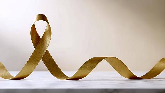 DCC Grand Marshall Advocates for Increased Pediatric Cancer Research Funding