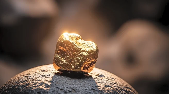 South Africa's First Gold Mine in 15 Years Passes Key Risk Review