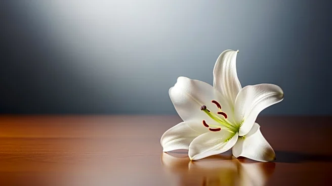 Jeffrey C. Clark's Passing Announced with Funeral Arrangements