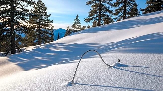 Recovery of All Nine Skiers Killed in California Avalanche Completed