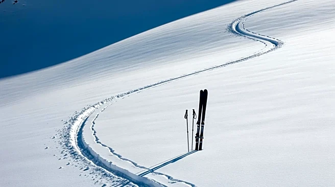 Authorities Recover Bodies of Nine Skiers in Sierra Nevada Avalanche
