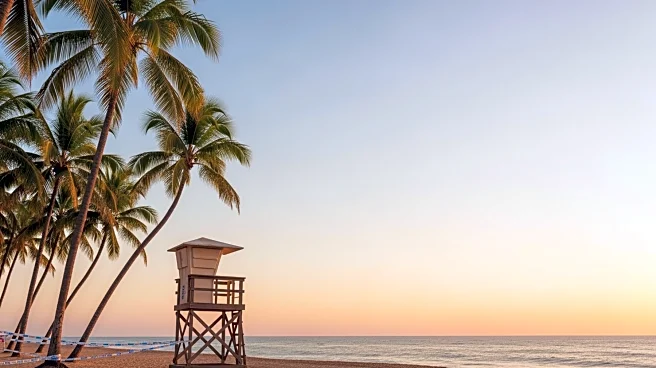 'RHOC' Star Vicki Gunvalson Assures Safety Amid Puerto Vallarta Unrest