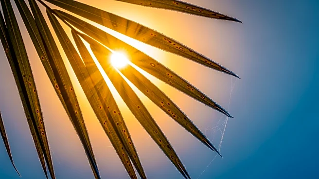 South Florida Faces Dramatic Weather Shift with Record Heat Followed by Cold Front