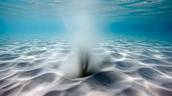 Arctic Blast Causes Rare Sediment Stirring on West Florida Shelf