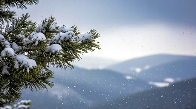 Nor'easter Reaches Peak Intensity in Tri-State Area, Snow Totals Reported