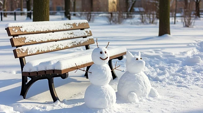 Central Park Transformed: Snowpeople Delight New Yorkers After Storm