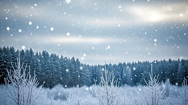 Minnesota Braces for Two Rounds of Snow, Weather Forecast Reports