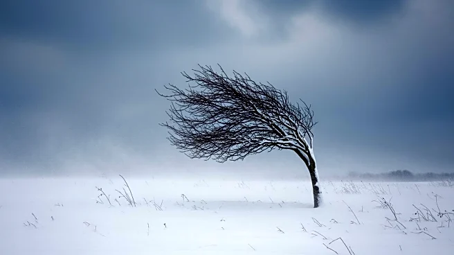 Maryland Faces Continued Windy and Cold Weather Following Snow Storm