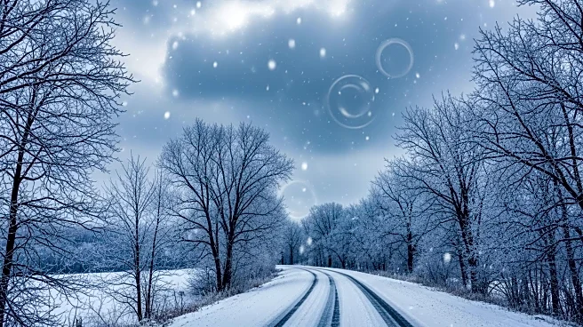 Major Nor'Easter Causes Widespread Closures and Disruptions in the Northeast