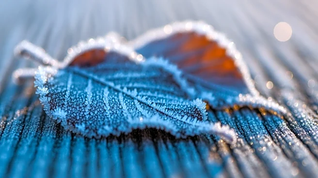 Maryland Faces Cold Weather Before Anticipated Mid-Week Warm-Up