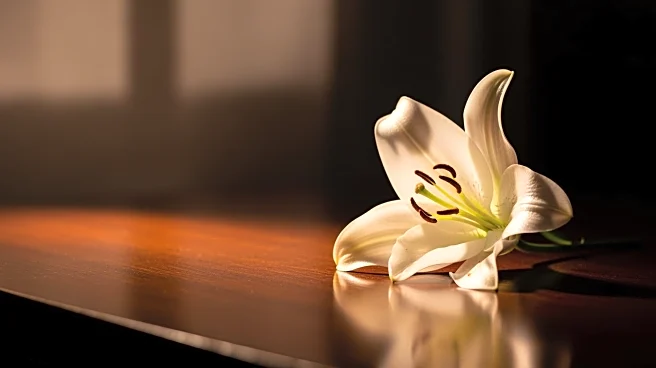 Martin Short's Daughter Katherine Short Passes Away at 42