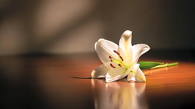 Katherine Short, Daughter of Martin Short, Passes Away at 42