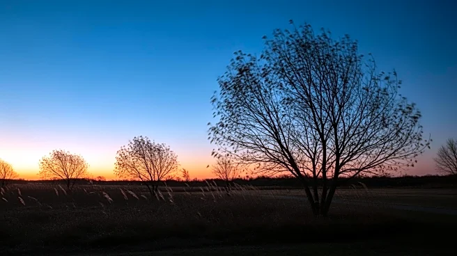 Minnesota Weather Forecast: Windy Conditions to Subside, Temperatures to Drop