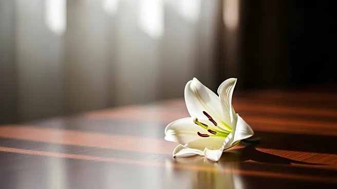 Katherine Short, Daughter of Martin Short, Dies at 42 in Apparent Suicide