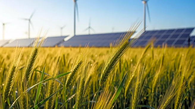 Konya Agriculture Fair Promotes Sustainable Solutions for MENA Region