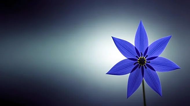 Jasmine Crockett Leads James Talarico in Texas Senate Democratic Primary