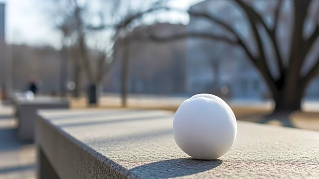 Controversy Erupts Over Snowball Incident Involving NYPD in Washington Square Park