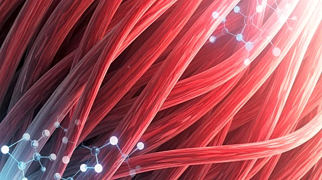 Research Reveals Skeletal Muscle's 'Molecular Memory' of Disuse