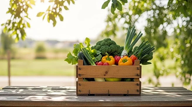 AgGeorgia Launches 2026 Farmers Market Grant to Support Local Agriculture