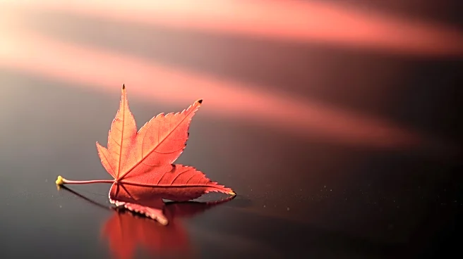 Sarah Palin Supports Ron Duguay During Stage 4 Cancer Battle