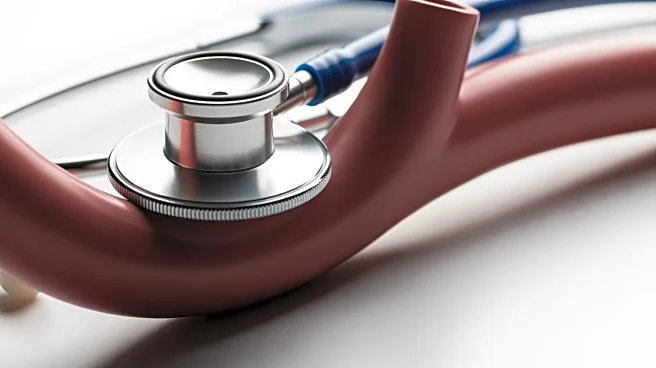 Understanding Aortic Health: Key Insights from Medical Experts